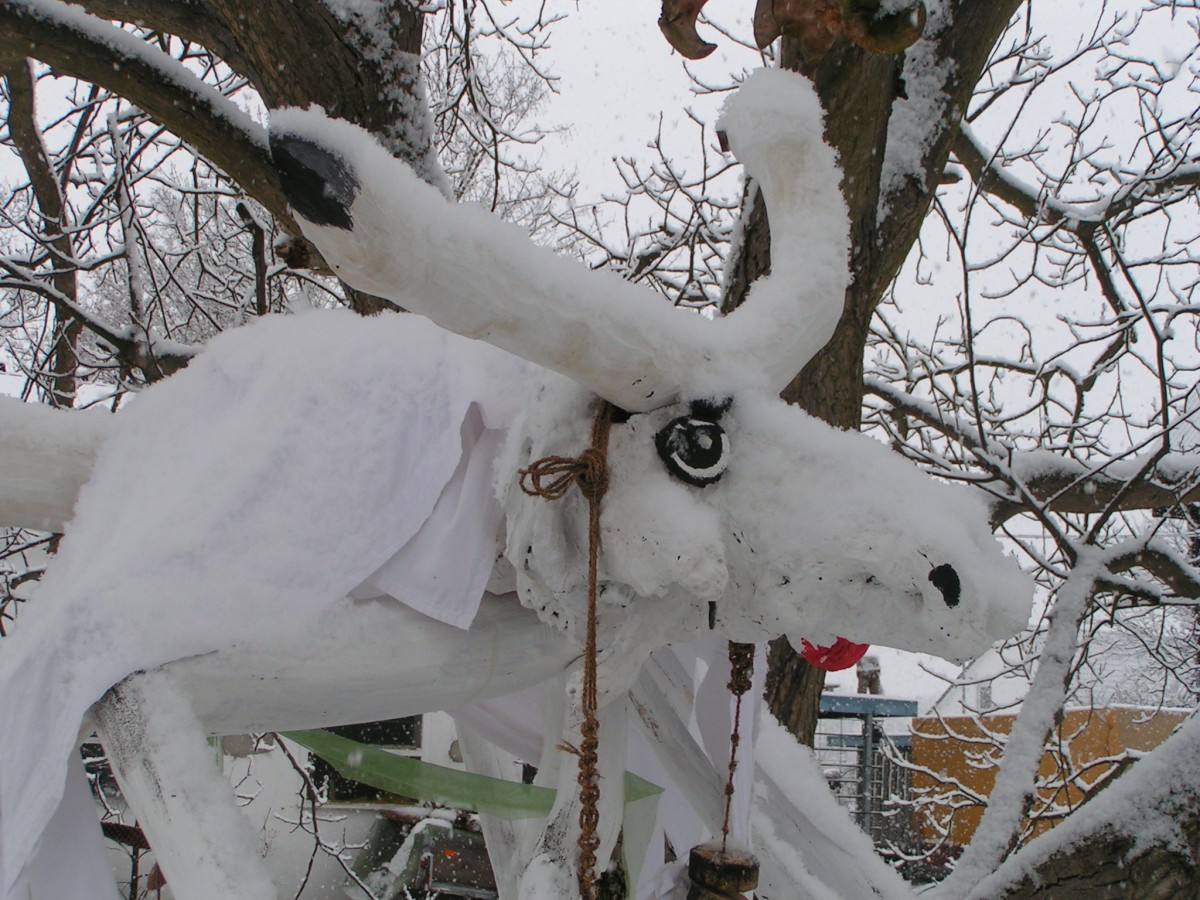 in Bürstadt 2010