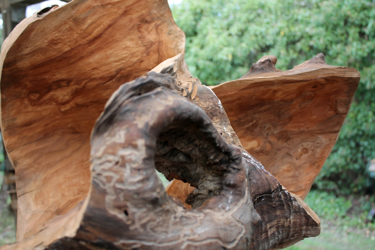 Etwas Holz ...