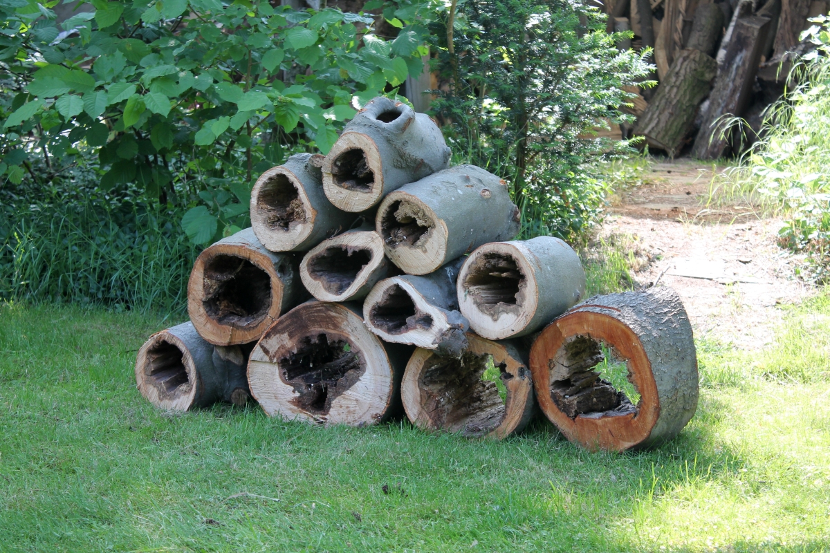 Diese Sammlung konnte gestern vor der thermischen Verwertung gerettet werden