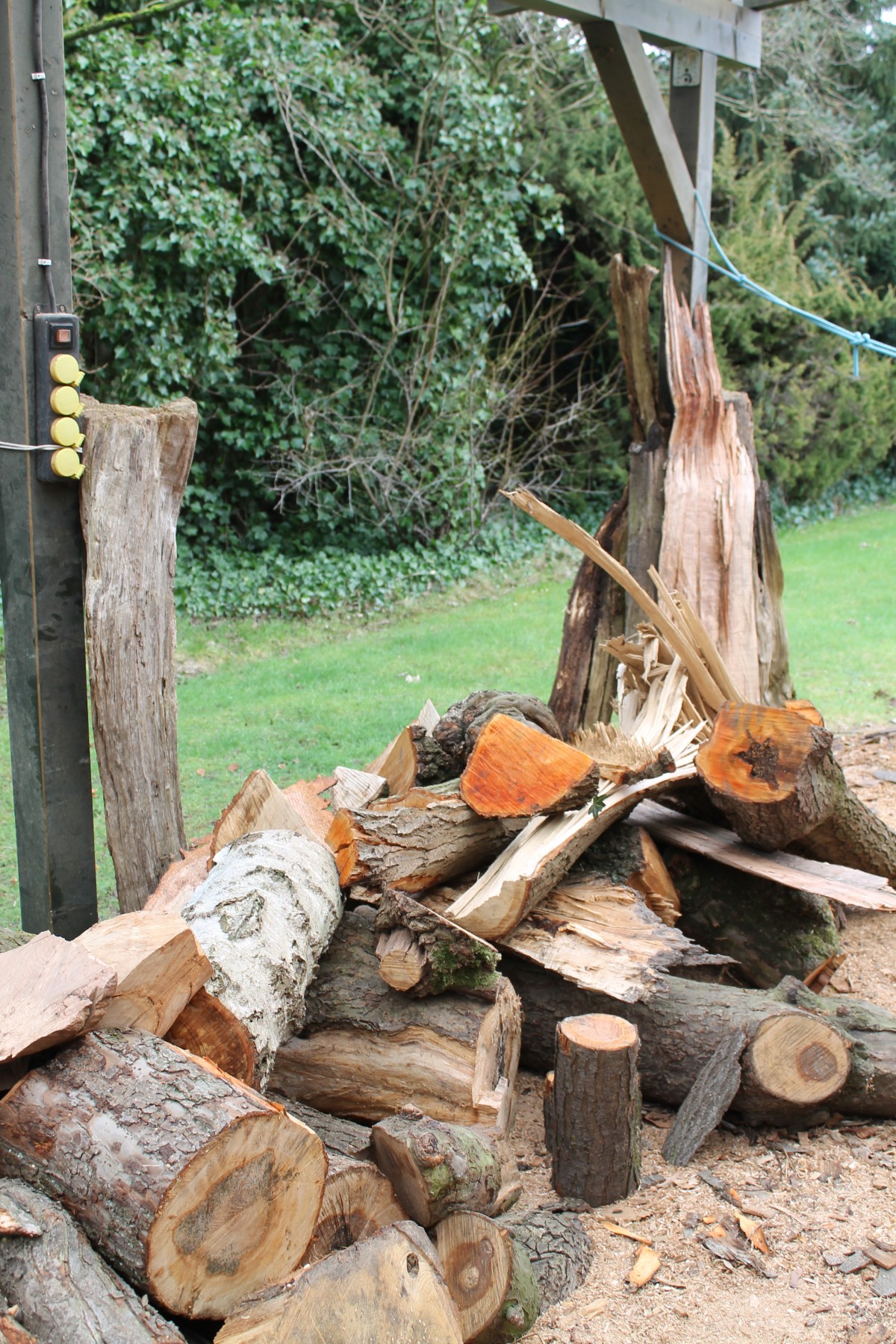 Holz