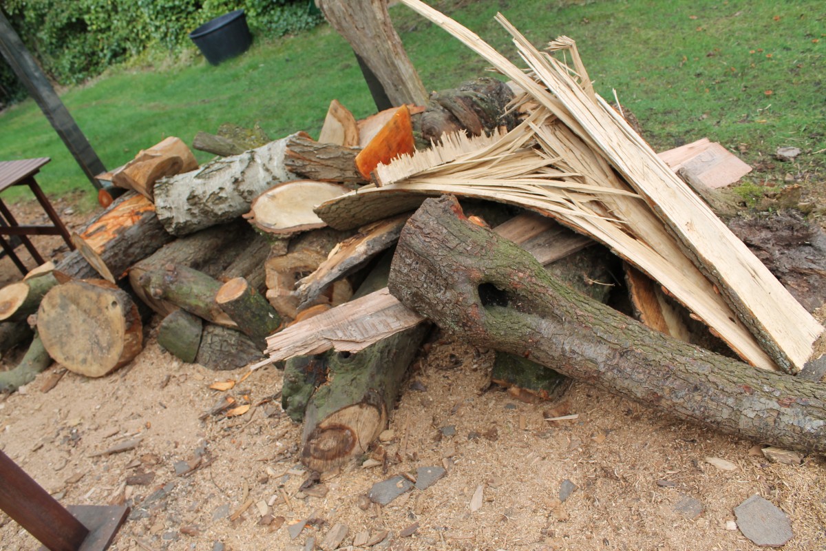 Holz