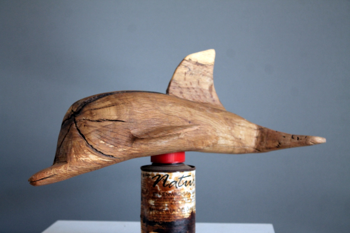 Delfin