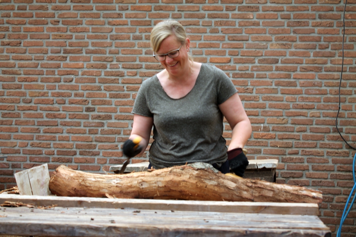... in diesem Holz steckt eine Möve.