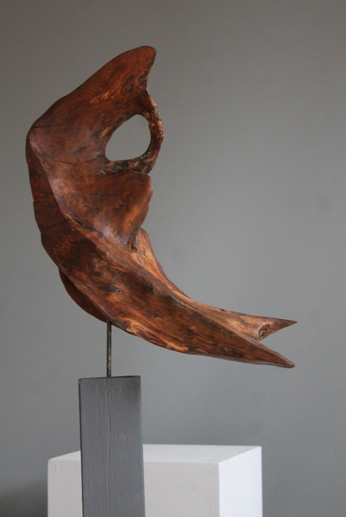 Heike - Eiche