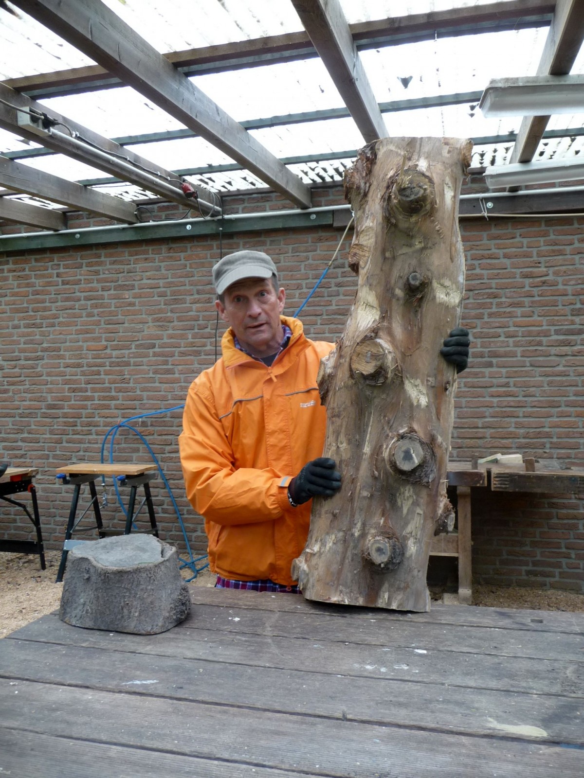 Reiner und Sequoja (auch eine Art Holz)