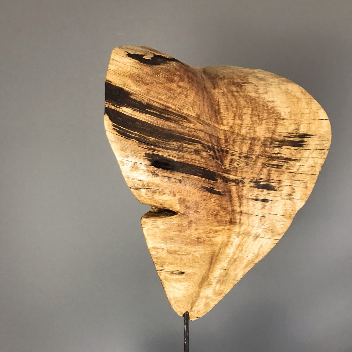 "Tiegerschmetterling" (Rückseite)
