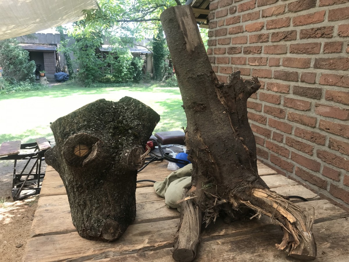 ganz rechts Heikes Pflaume