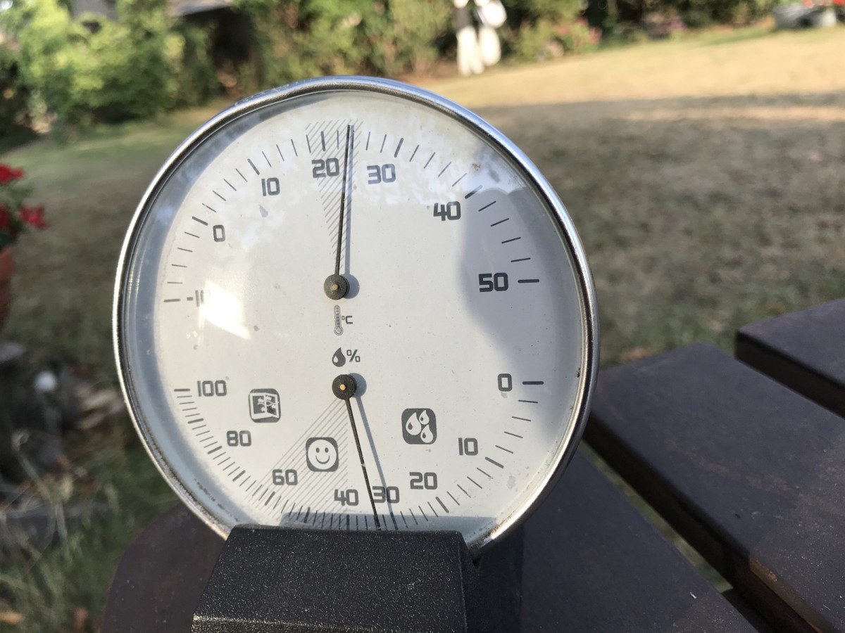 Und morgen - aber denkste Puppe, das Leben ist kein Wunschkonzert.