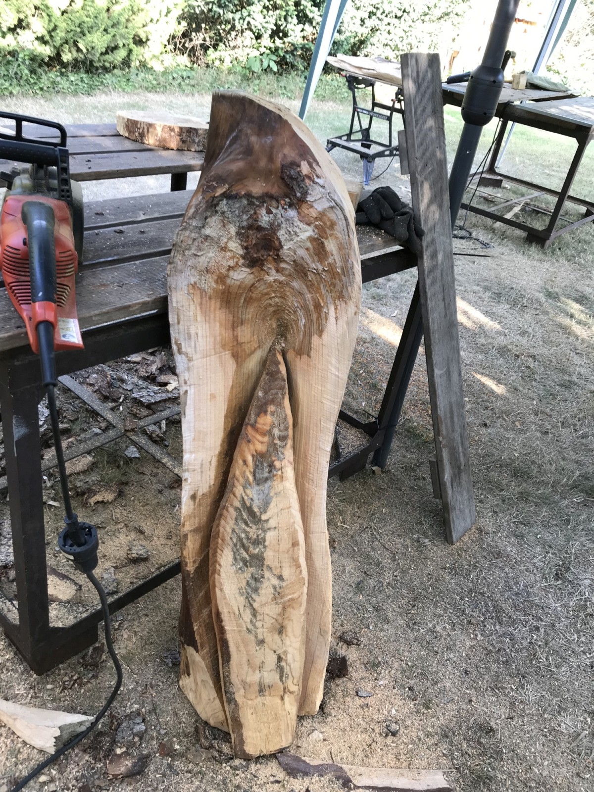 Gertruds Holz weiß schon, was es will.