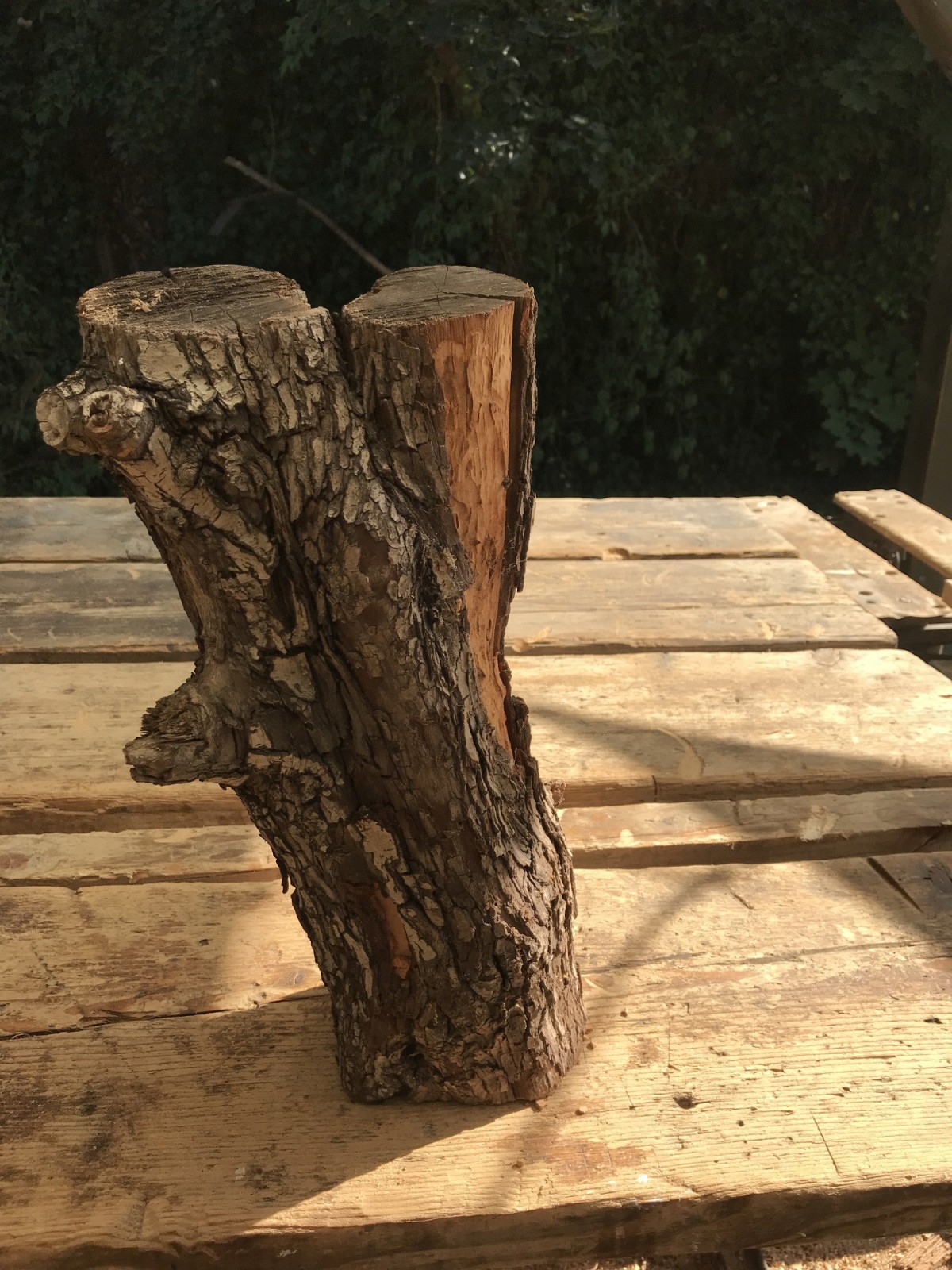 Wir schalten mal kurz nach Wien...