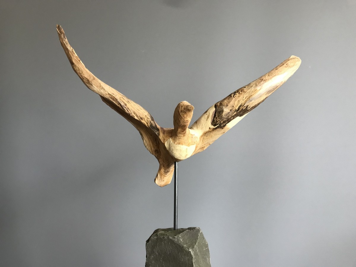 Condor