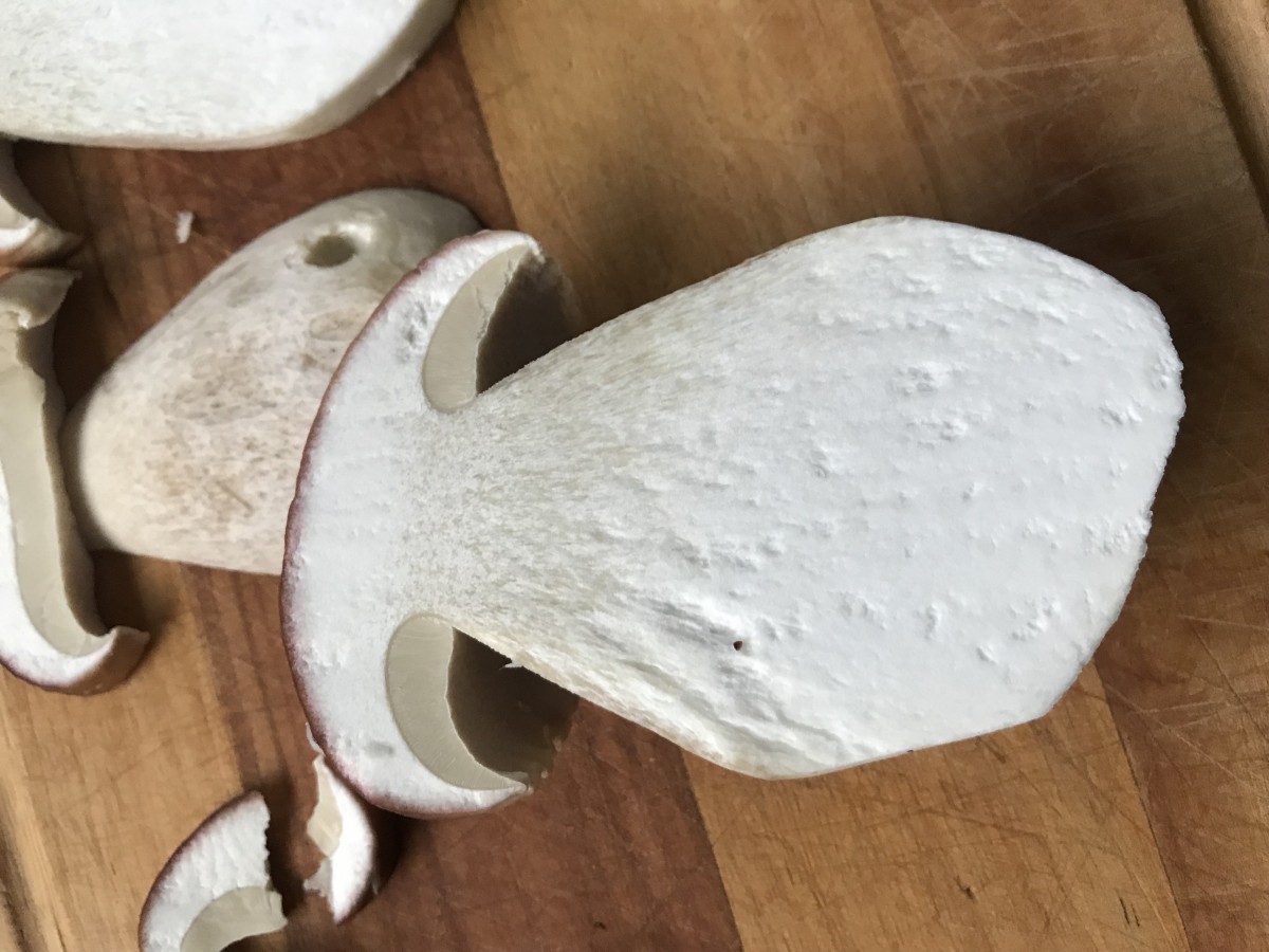 feinste Ware - vegan