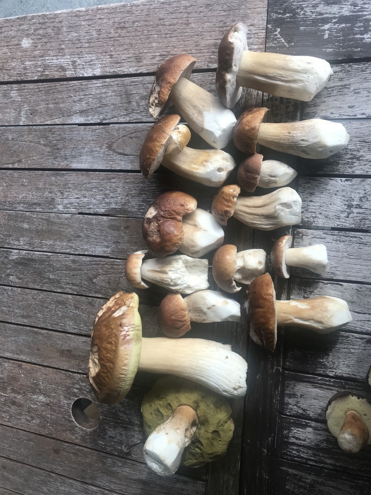 Lassen wir es also wie es ist. Und die paar Steinies essen wir halt selber.