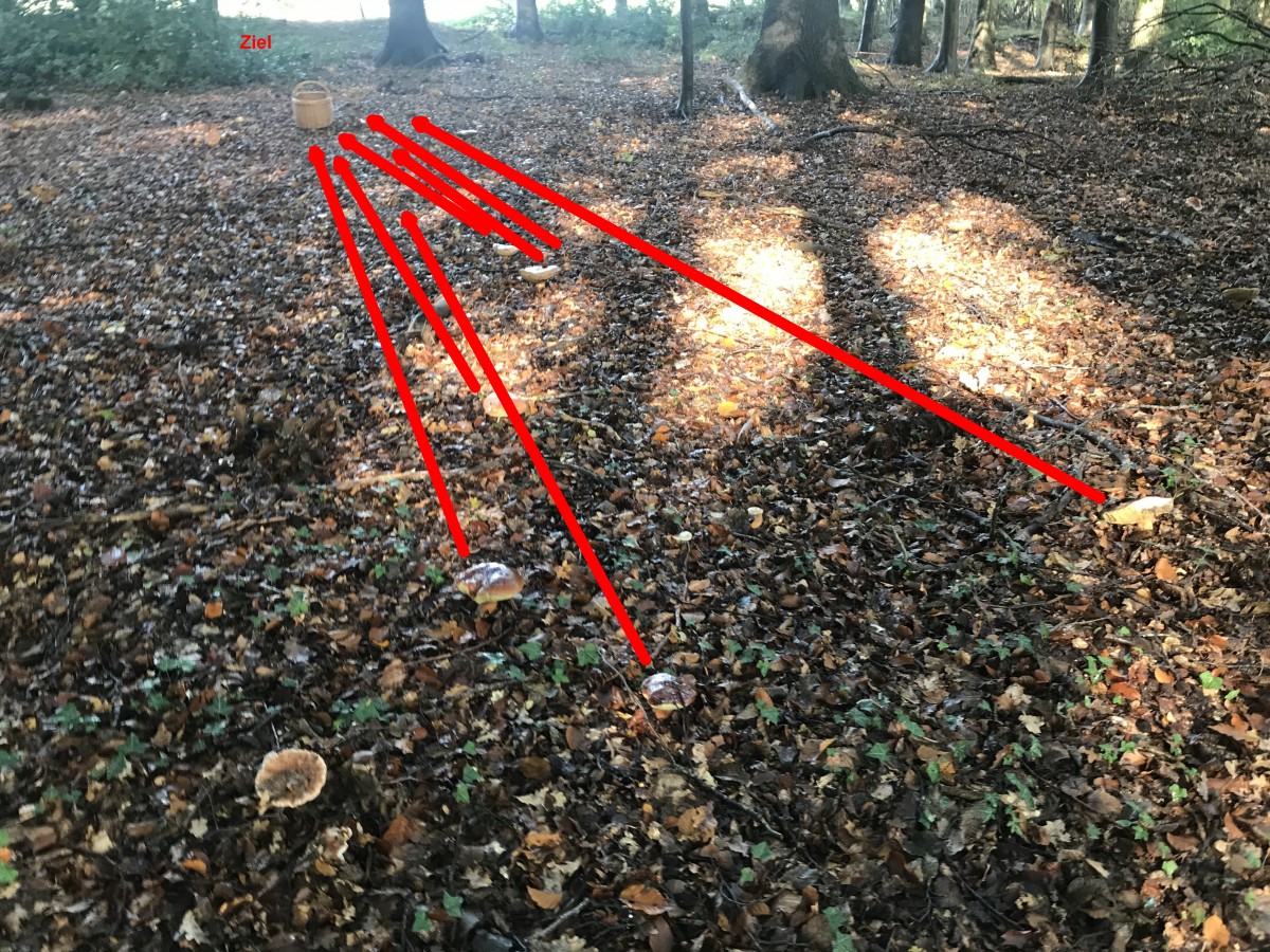 Hier die ultimative Anleitung für das kommende Jahr