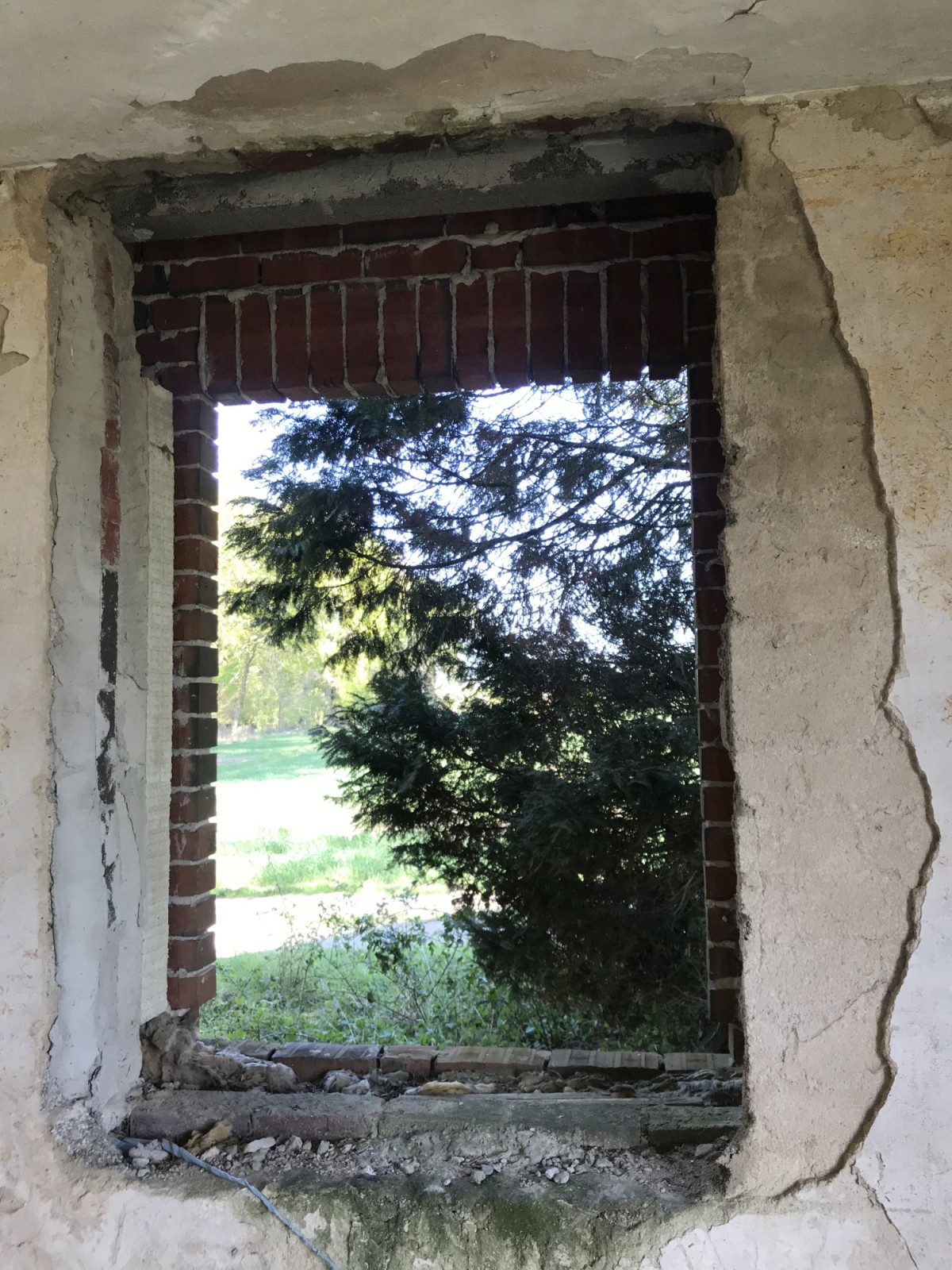 Ostfenster mit Waldblick