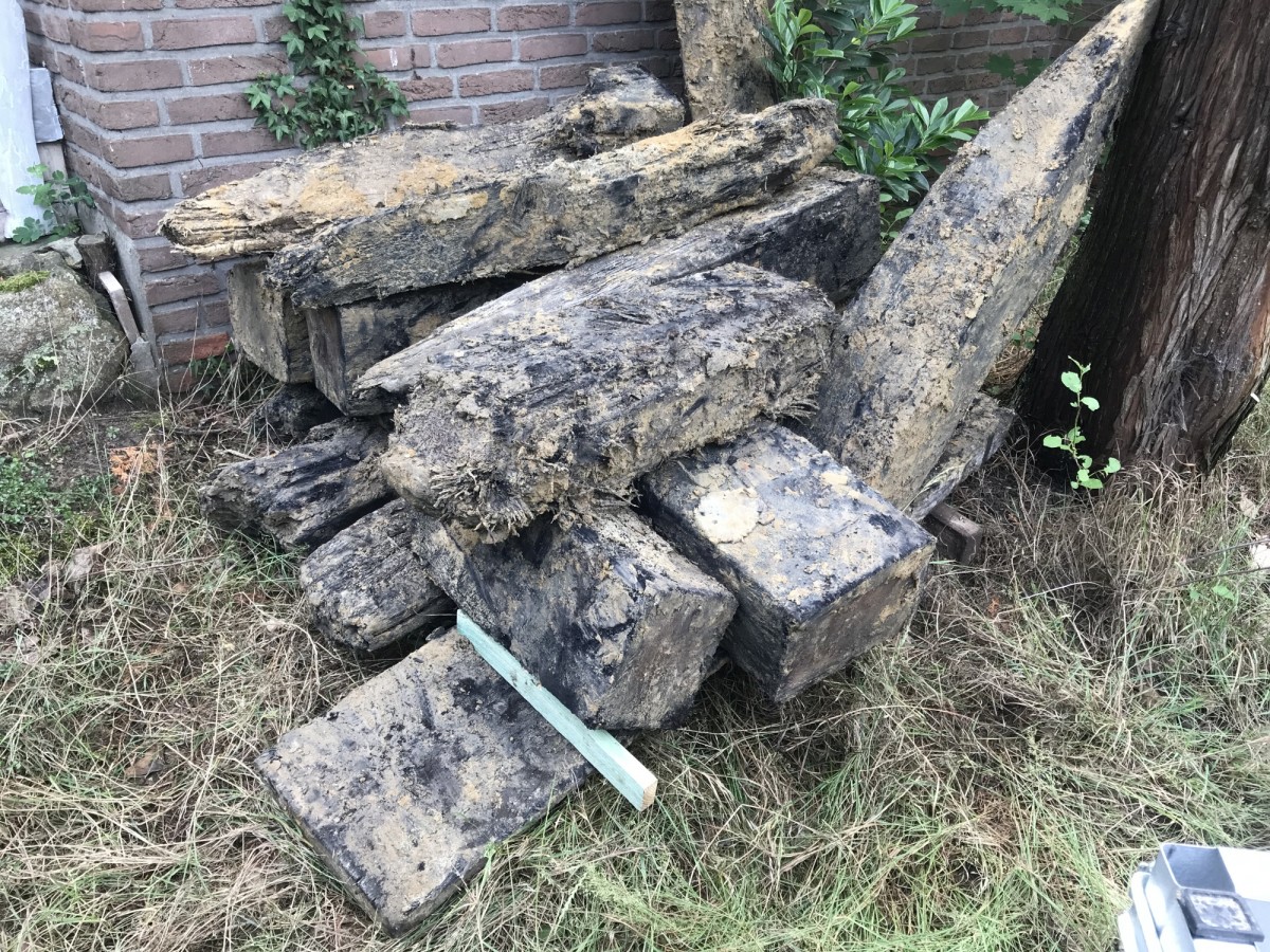 asbachuralte Eiche aus Wolbeck - Gründungspfähle - noch lehmverschmiert
