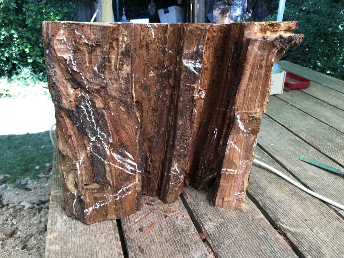 Das Holz ahnt es noch nicht. Müssen wir ihm morgen schonend beibringen.