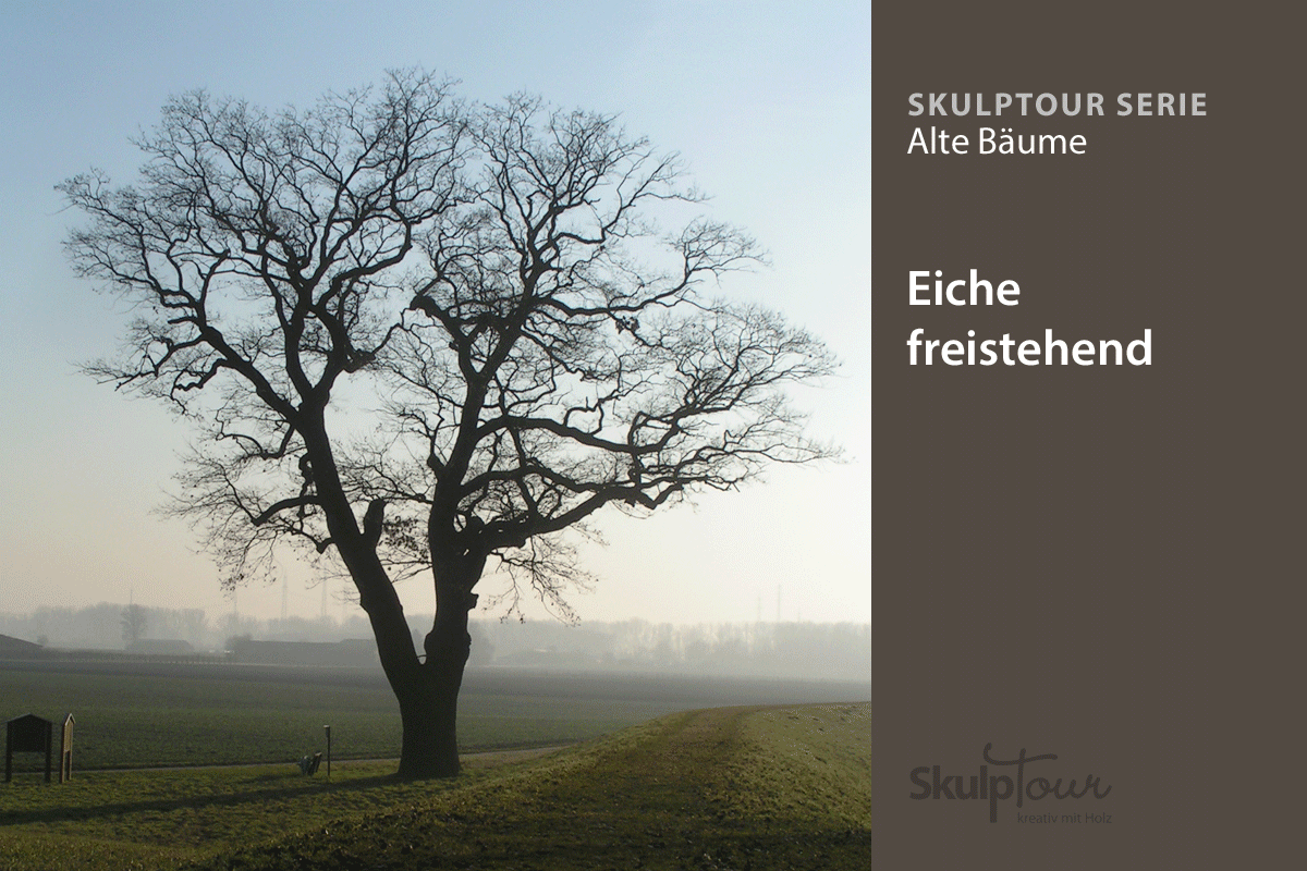 Beispiel für die braune Serie (bereits veröffentlicht)