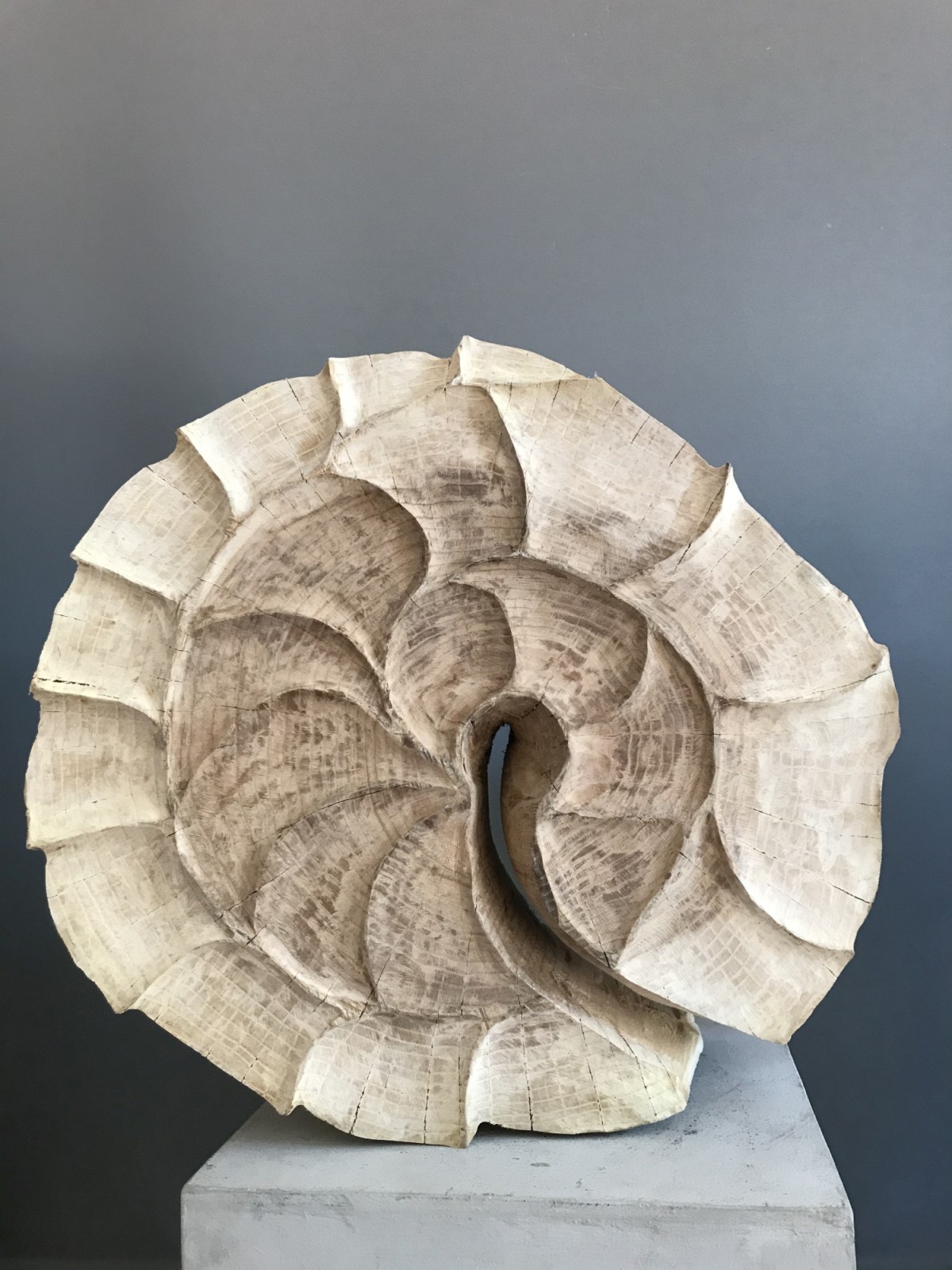 Doris hat ein Trumm von einer Spirale in Arbeit