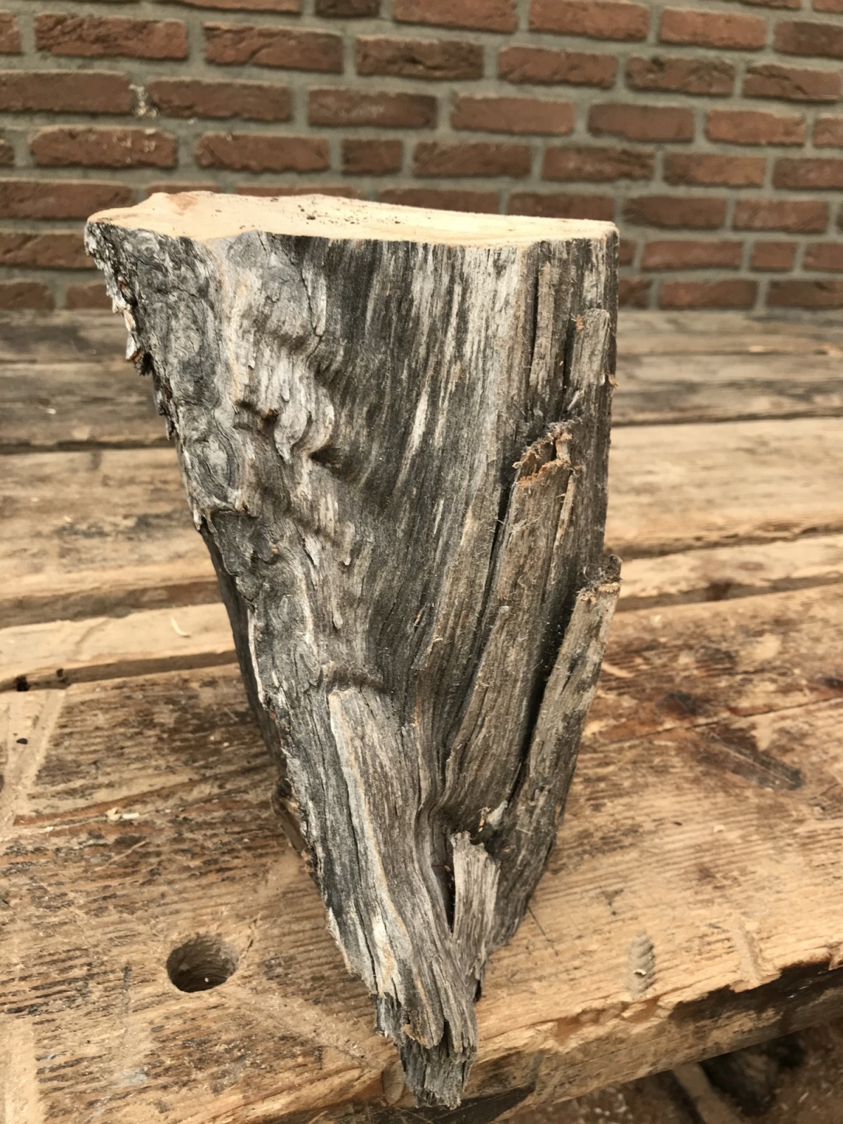 Der Rohling