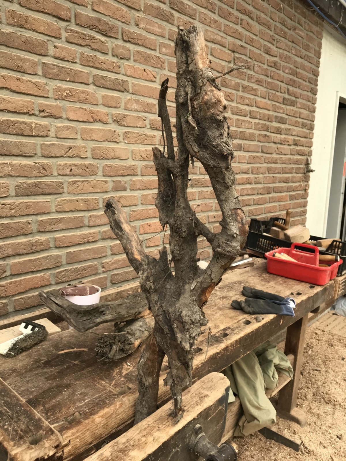 Ullas Rohling