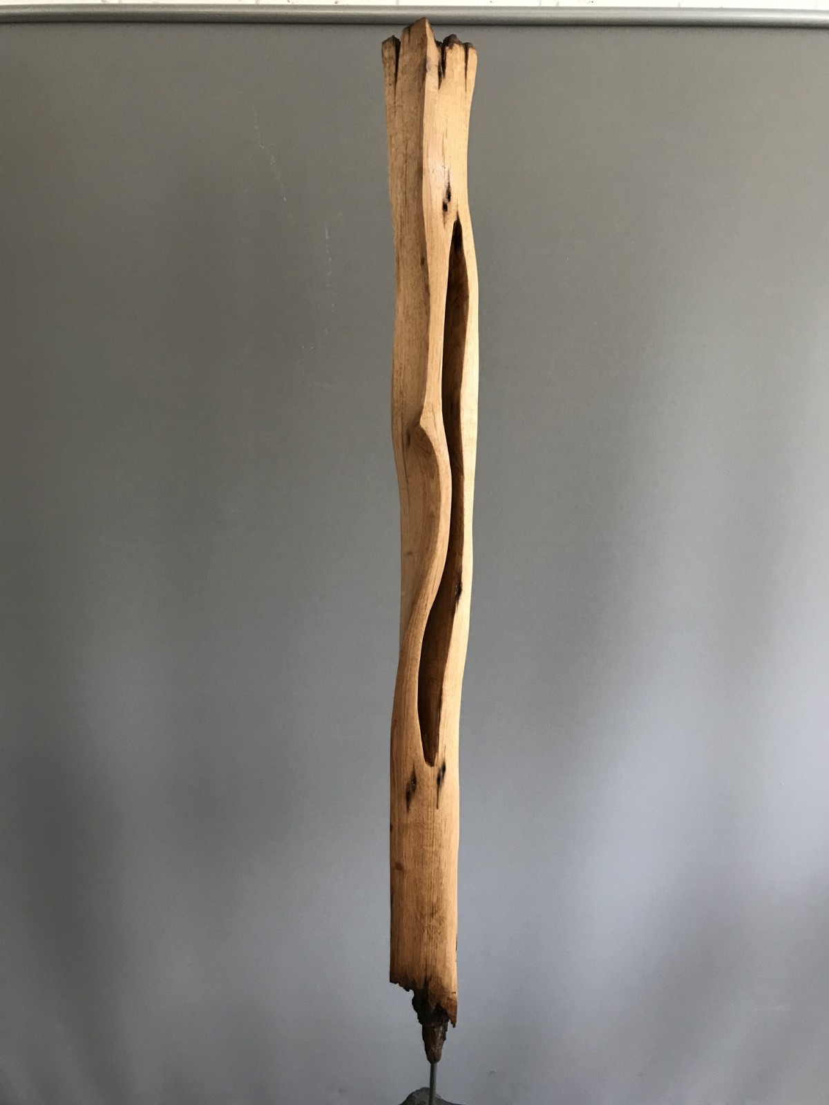 Doros Eiche mit Schwung