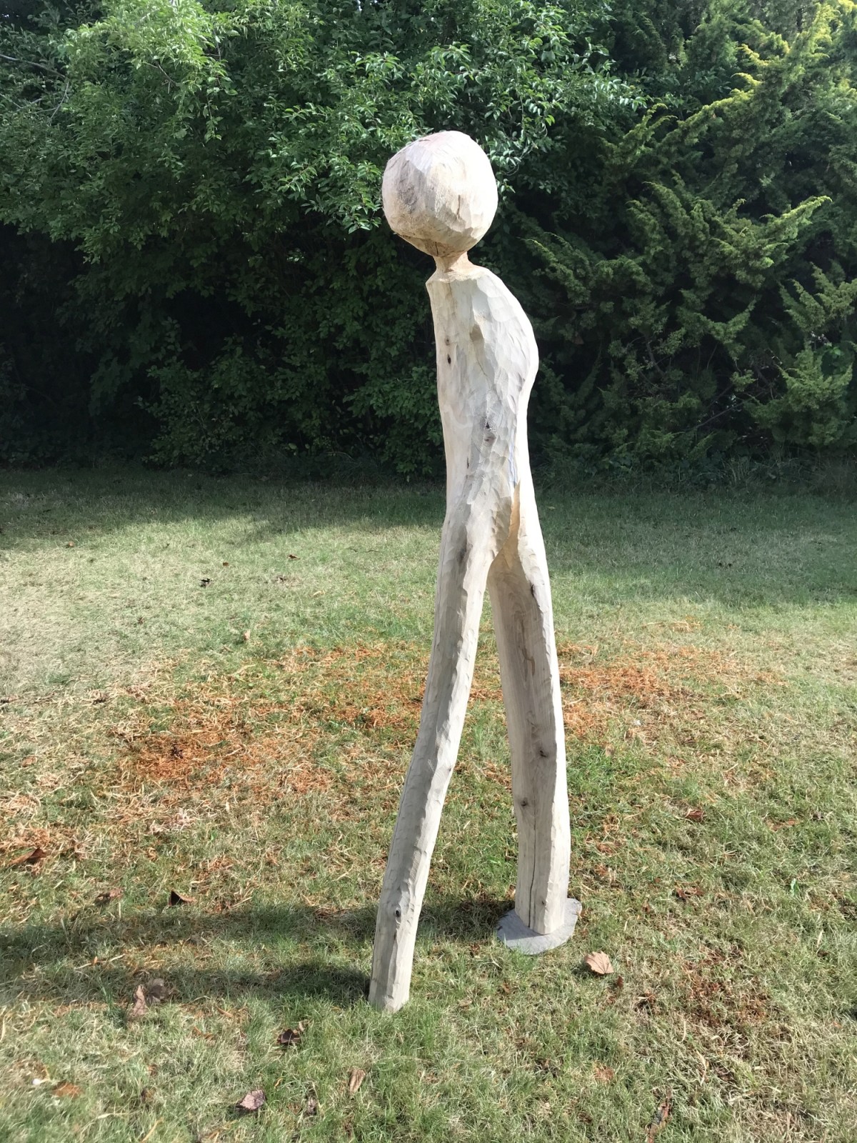 Wer steht denn da im Garten?