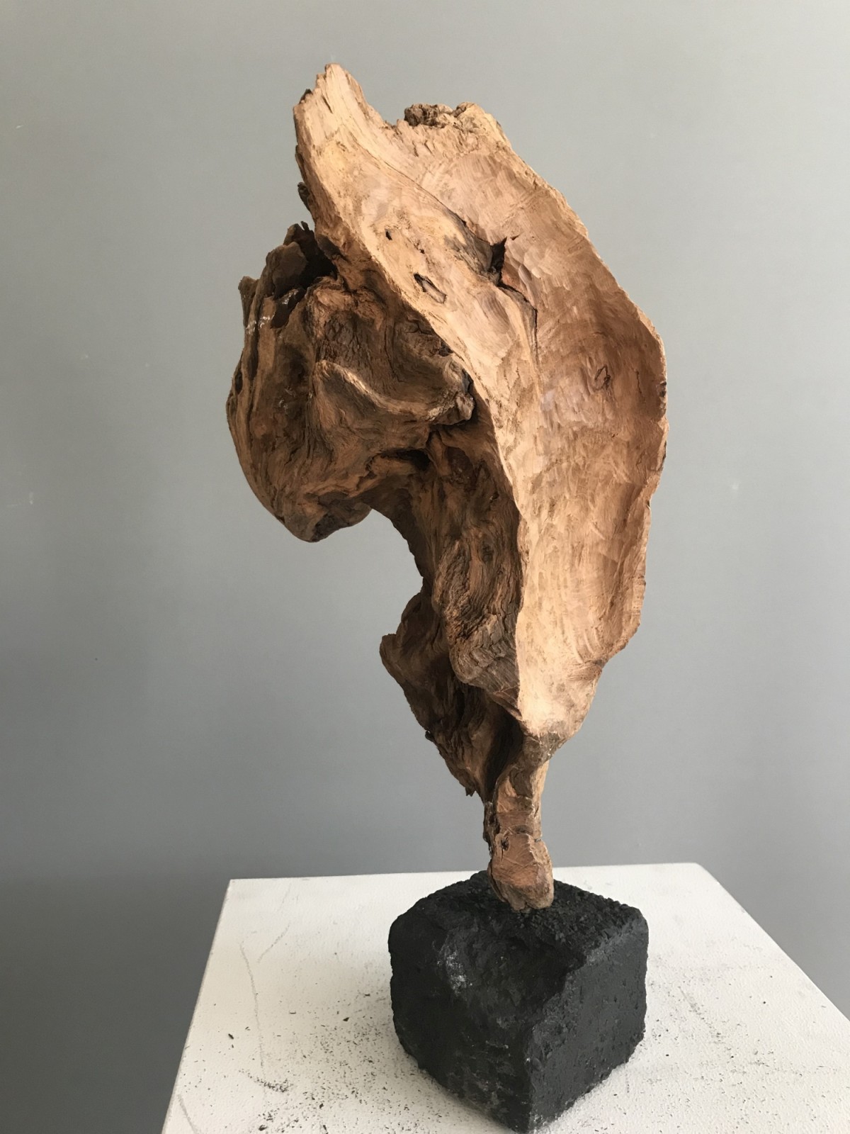 auf Basalt - (es sind gerade Basaltwochen)