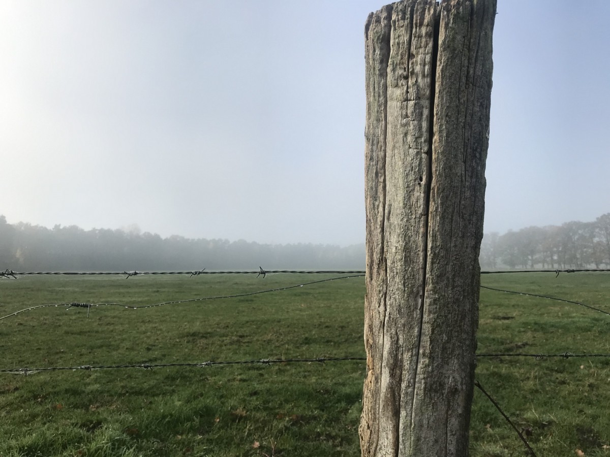 Münsterland