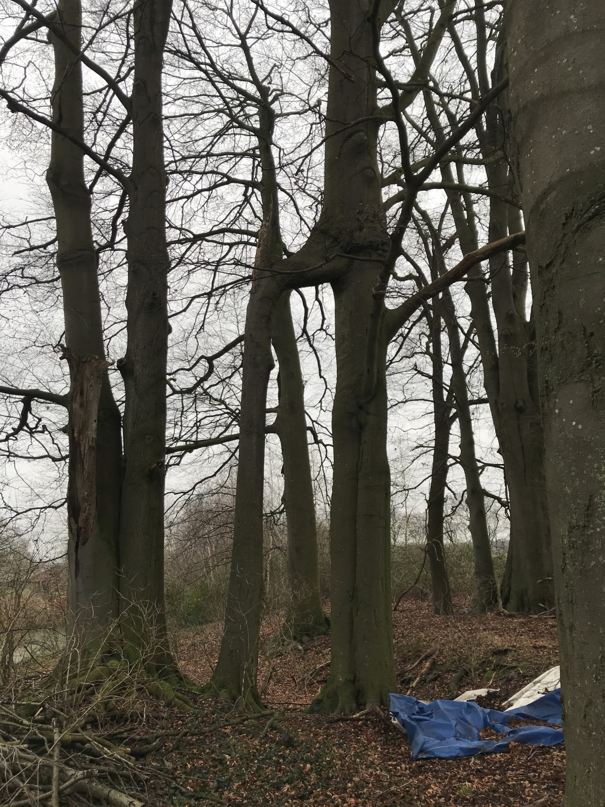 Lass uns gemeinsam weiter wachsen.