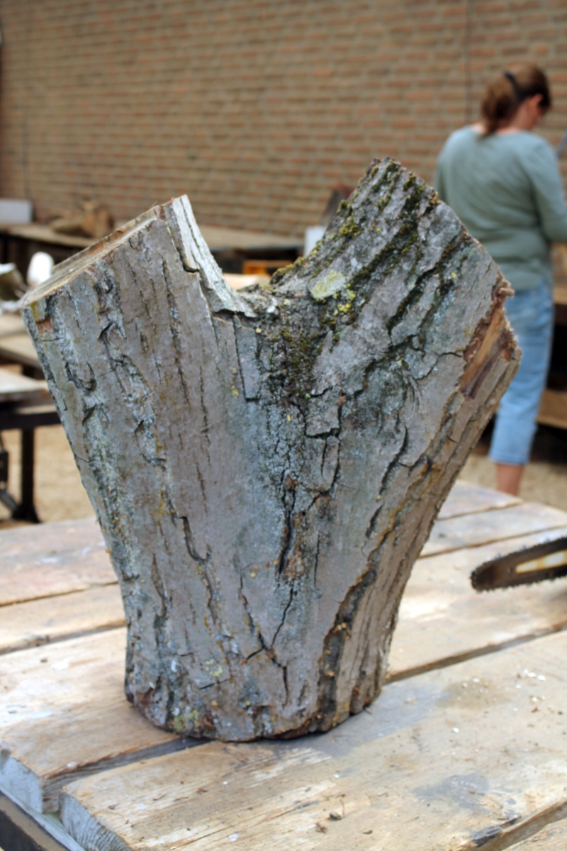 Das Holz ahnt noch nicht,