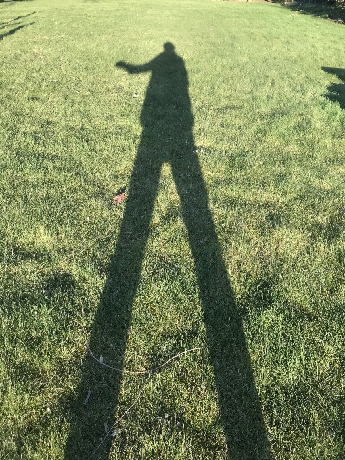 Und morgen zeige ich, wie es gefüllt wurde.