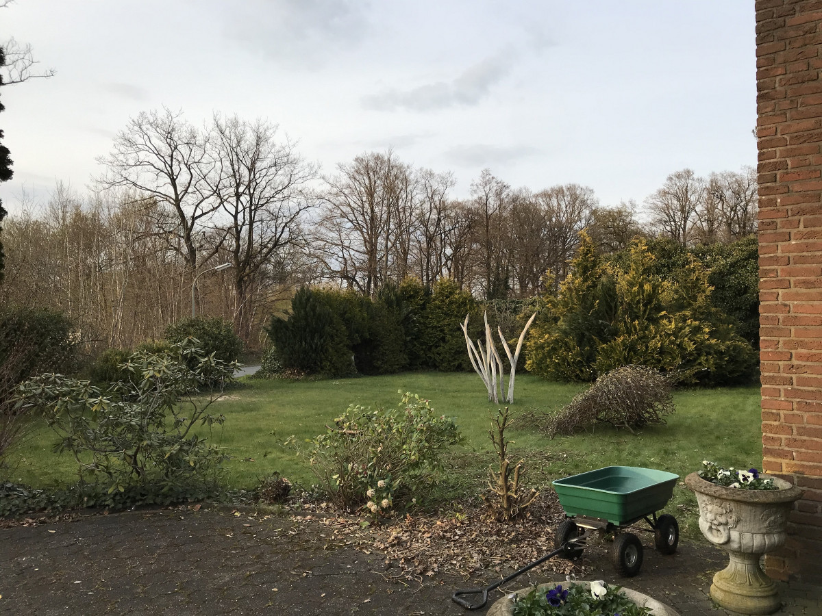 Büsche ausgelichtet