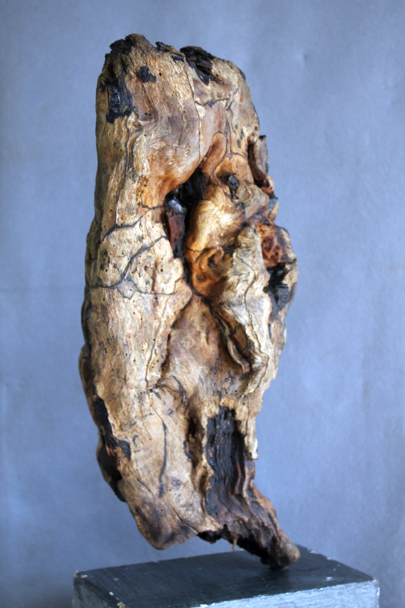 Mein Titel: "Holz verschlingt Stein"