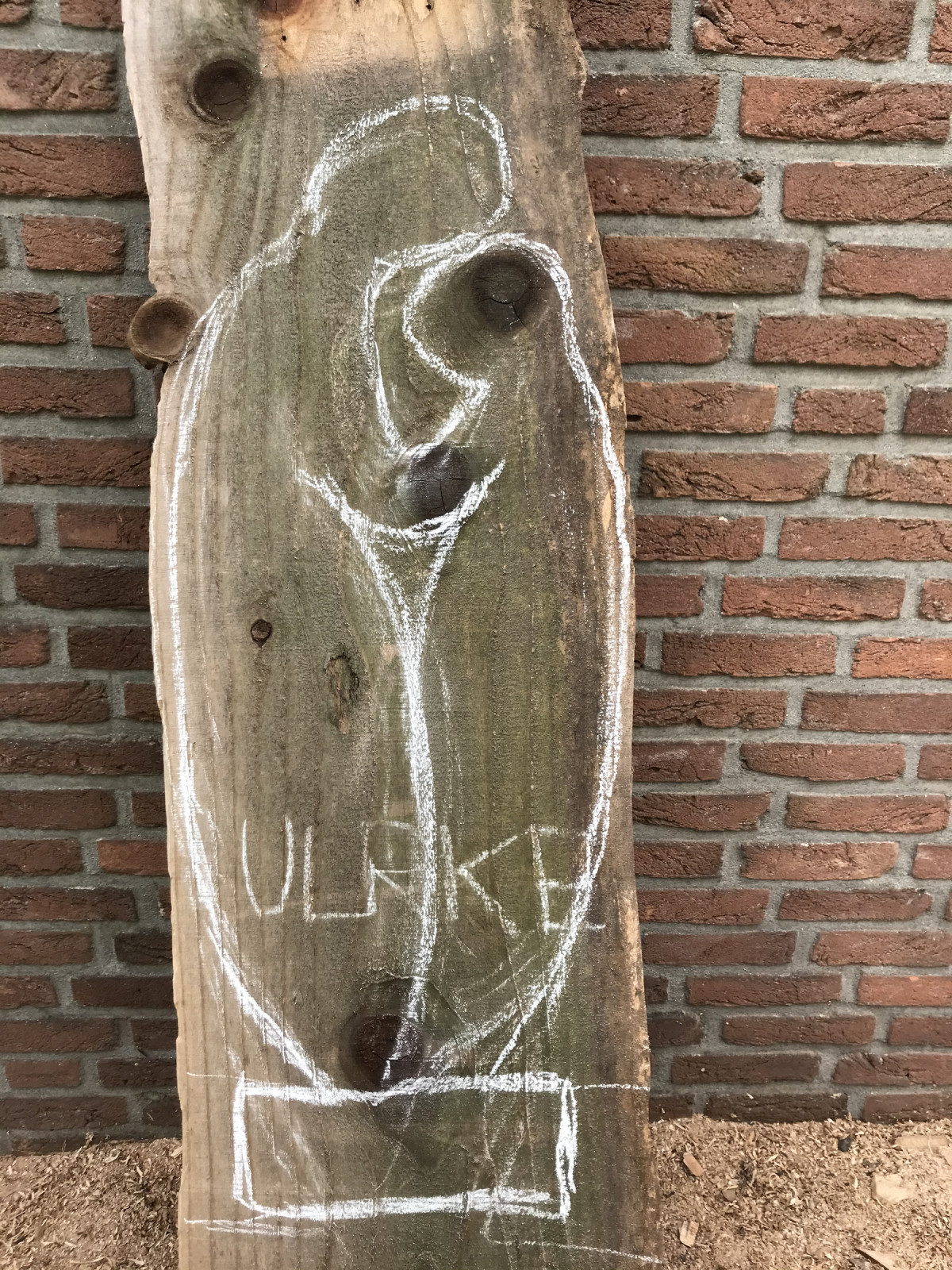 Ulrike