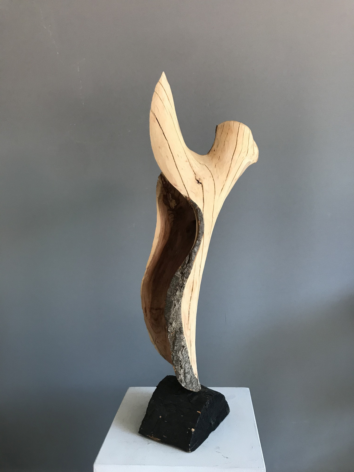 Beanstandungen, Angela