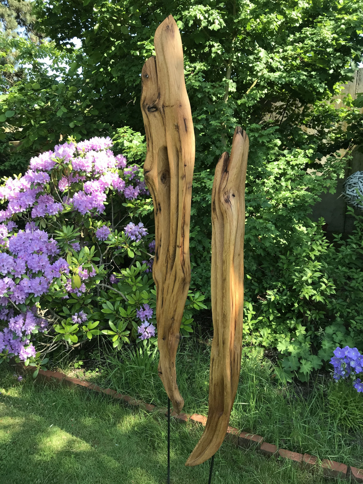 und so ein schöner Rhododentron