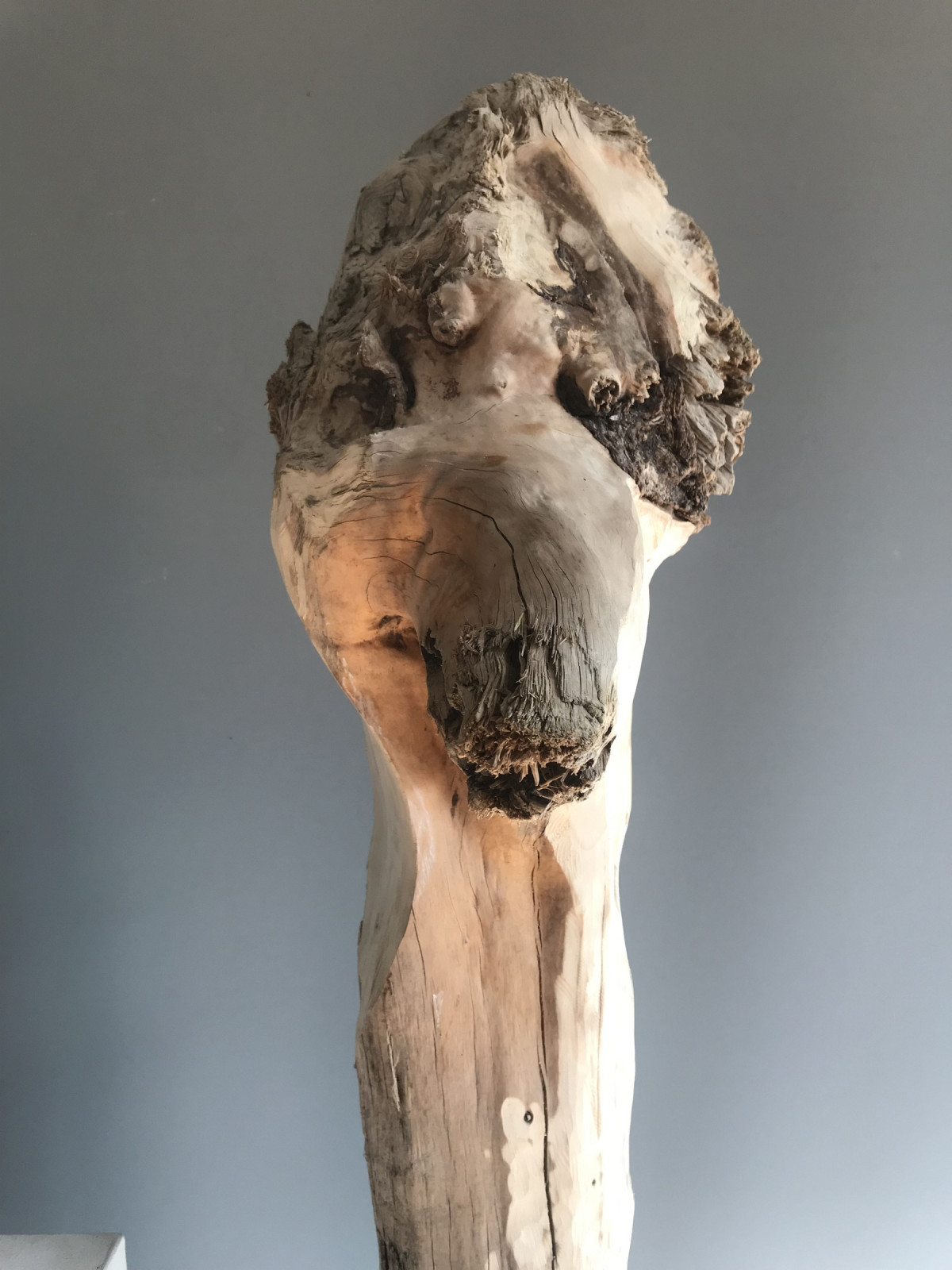 Und morgen die Augen