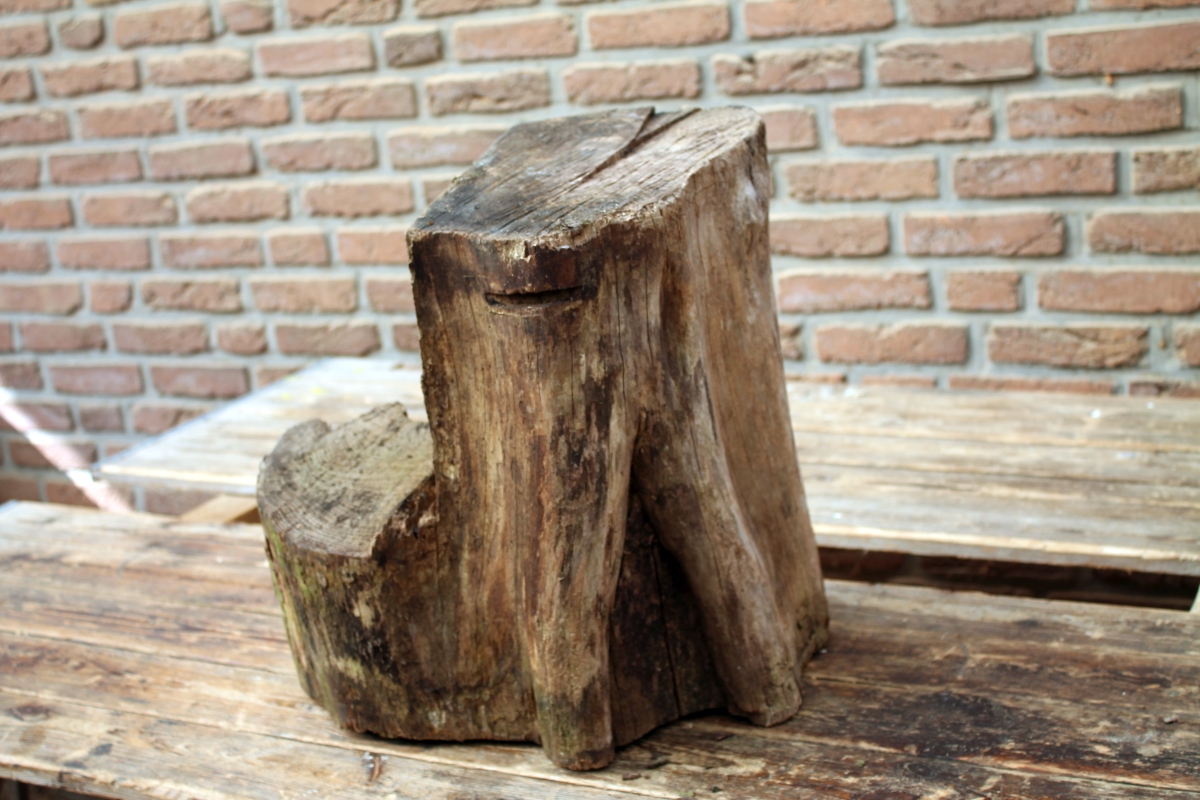 Ulrikes Holz ...