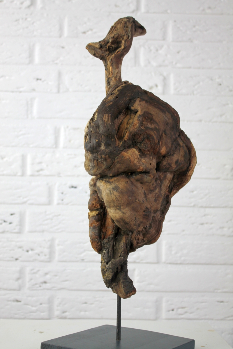 das hier? Ist das Anatomie?