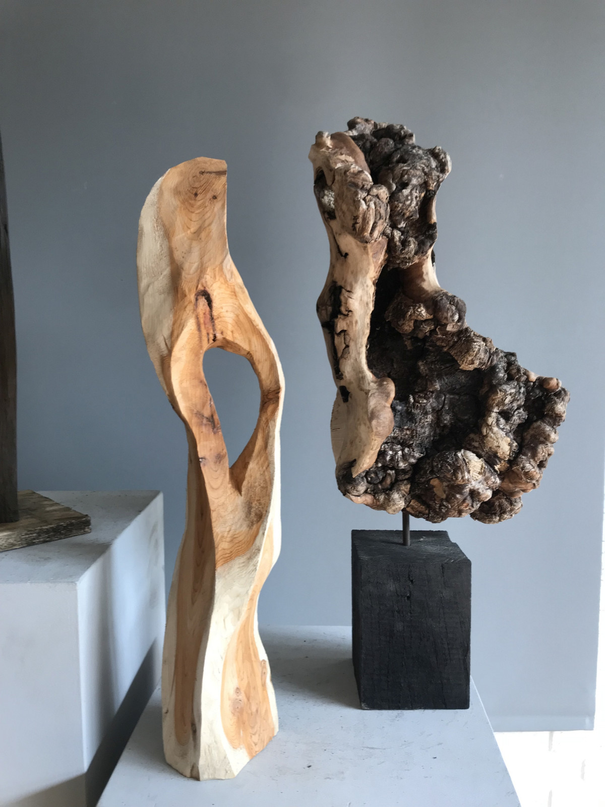 Und als Zugabe ein schönes Holz - Eibe mit Fenster und daneben