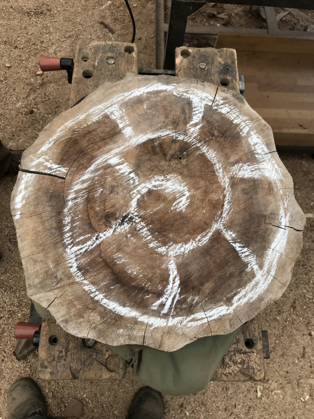 Andrea - Walnuss - hartes Holz