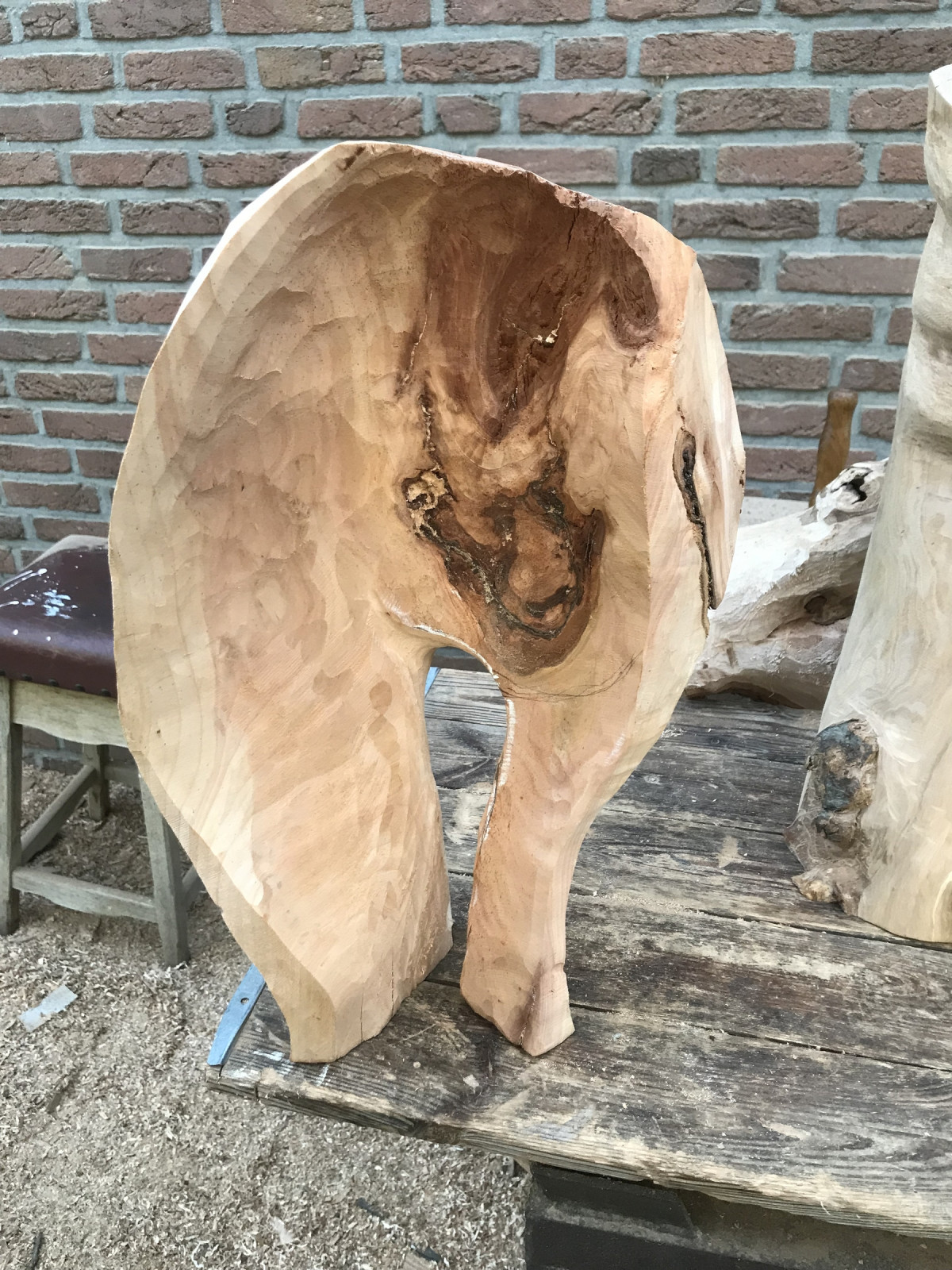 Törööö - ein Elefant ist bei genauerem Hinsehen
