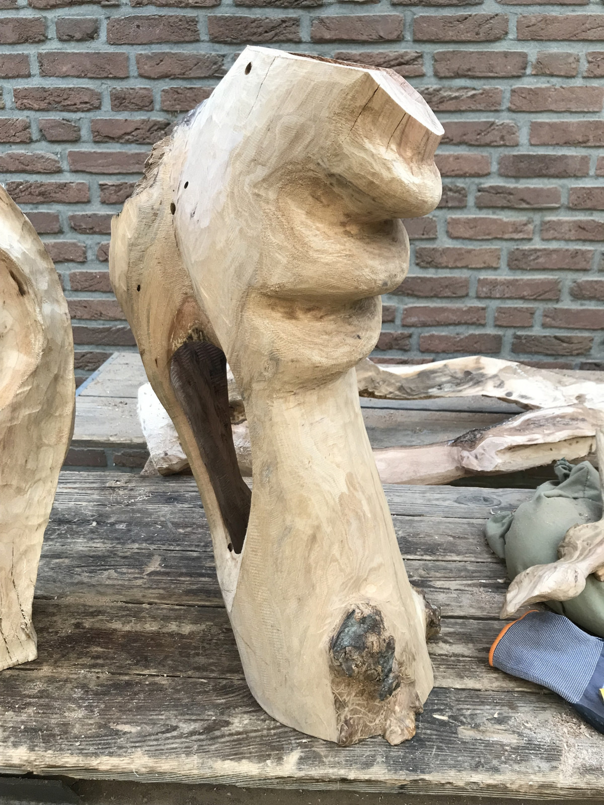 Wellen für die Sittiche?