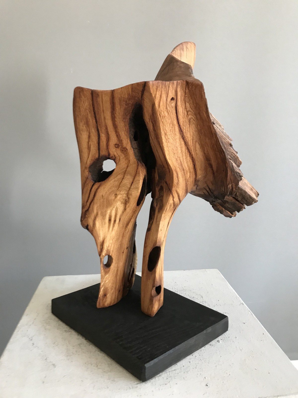 ein Holz mit Geschichte: Bürstadt - Göttingen - Reckenfeld - Oberhausen