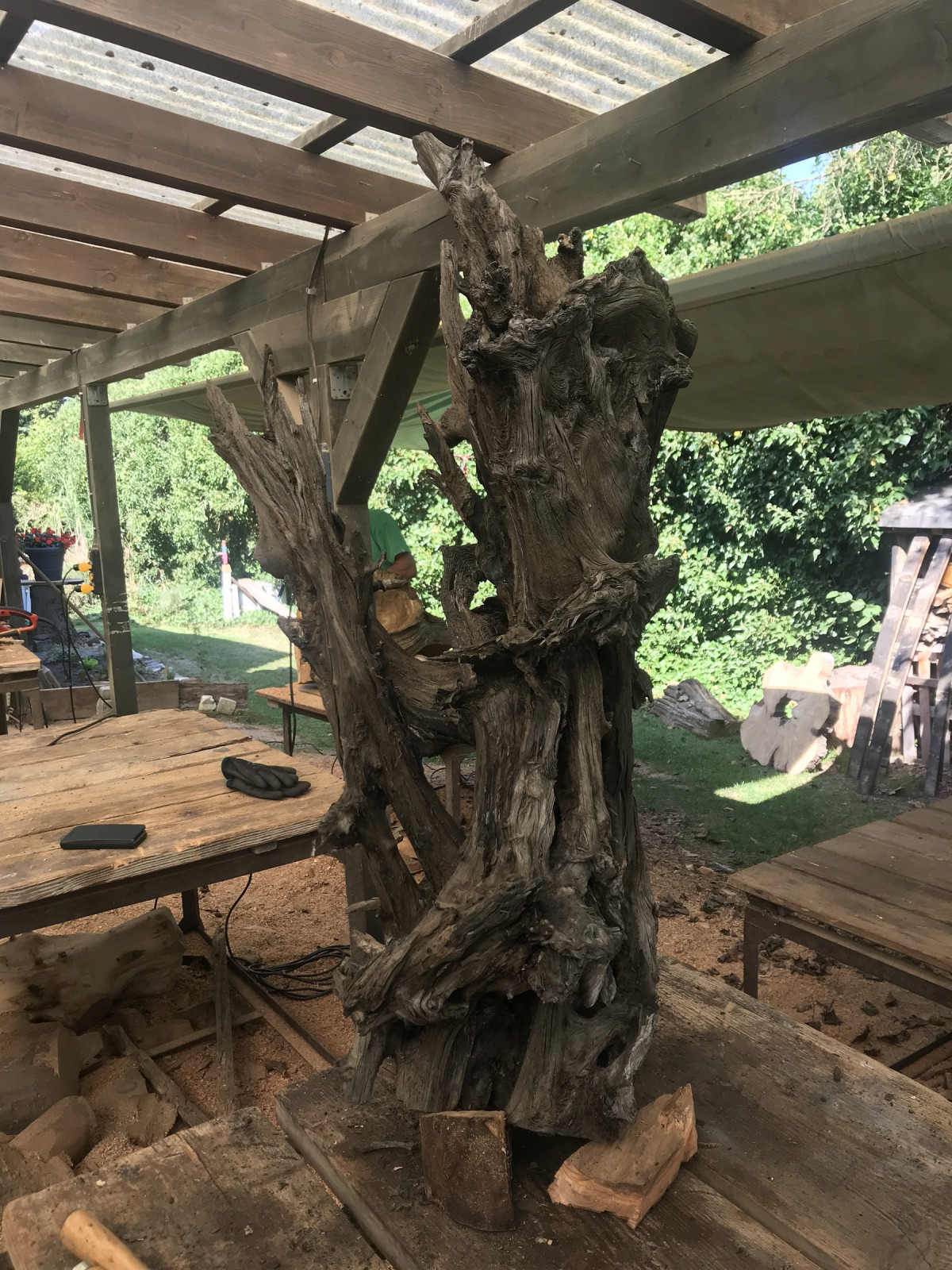 Das Holz steckt voller Geschichten - fantastisch