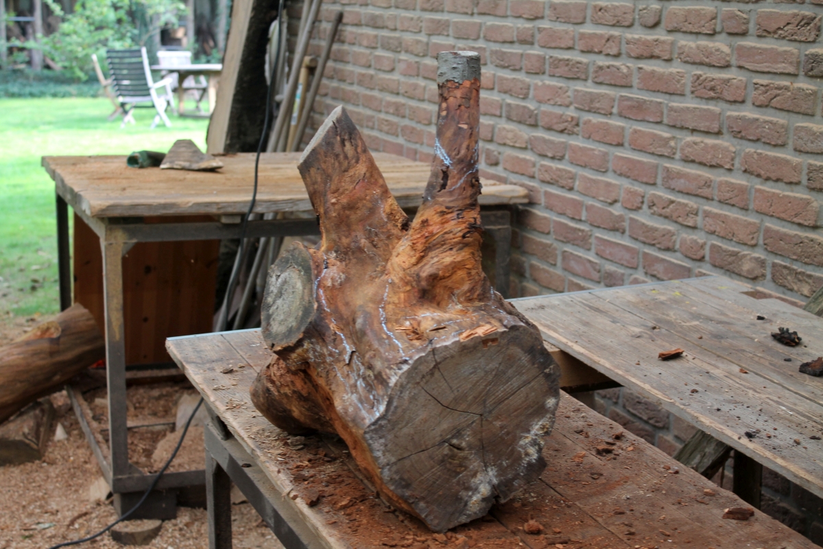 Kirsche