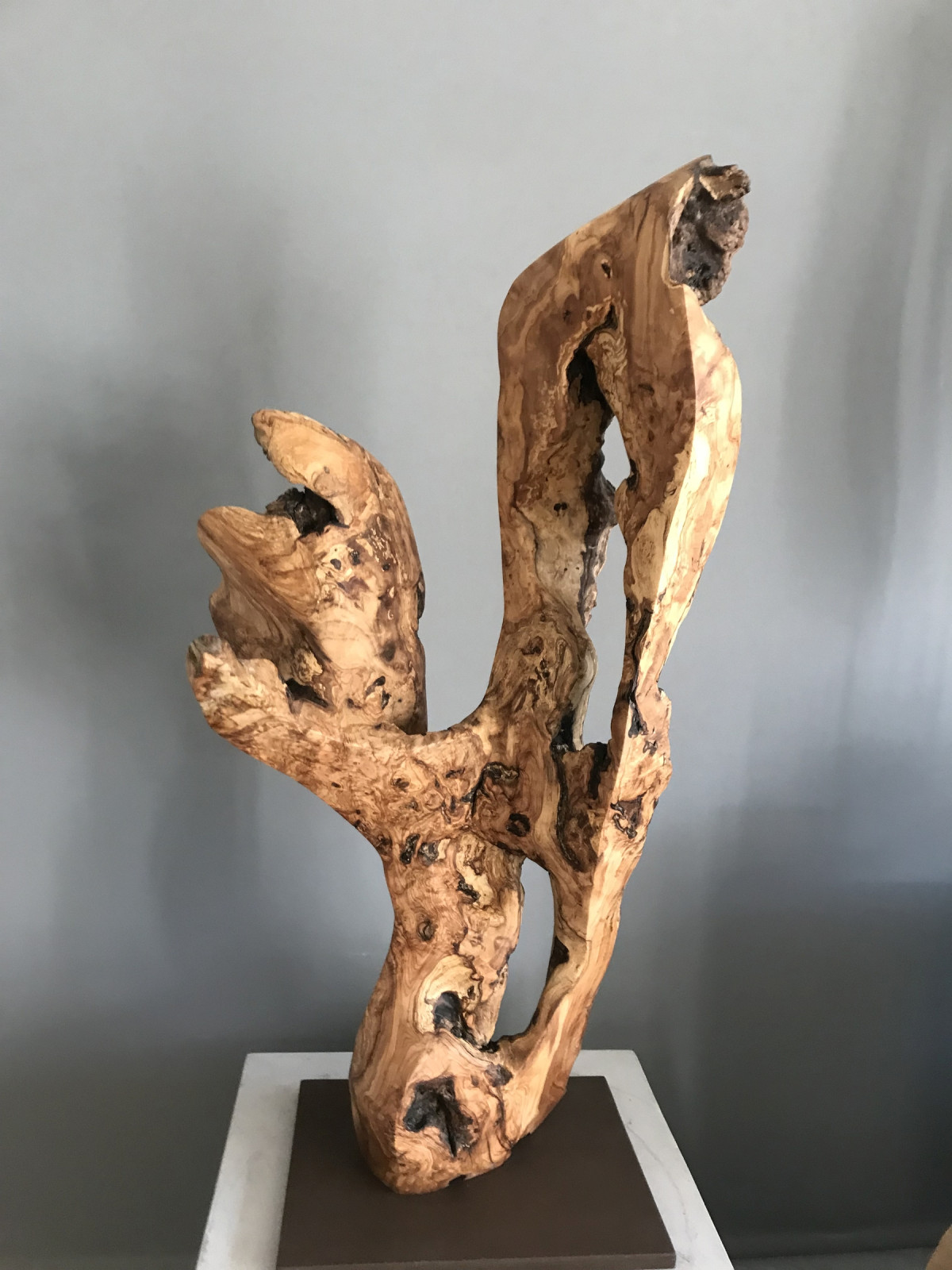 Stefanies Olive nun in josefscher Glätte