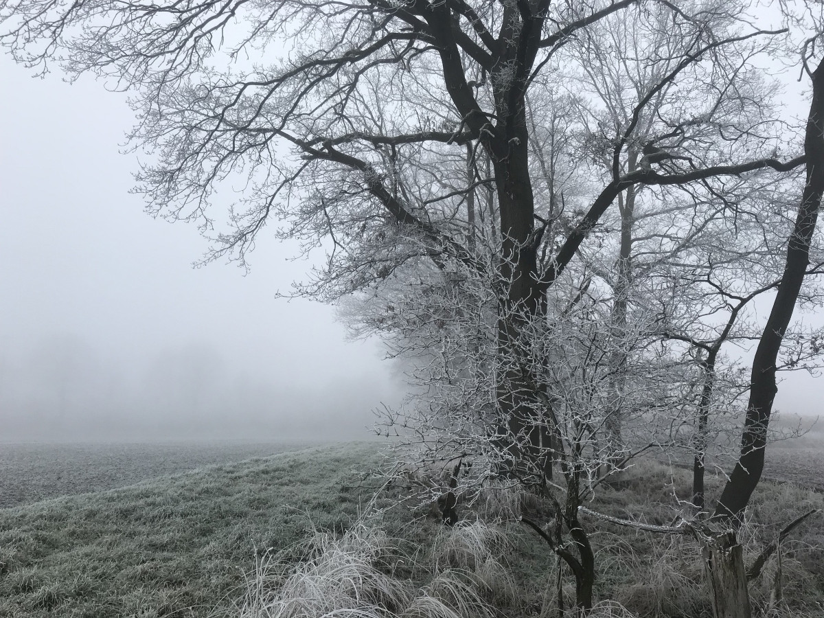 irgendwo da hinten