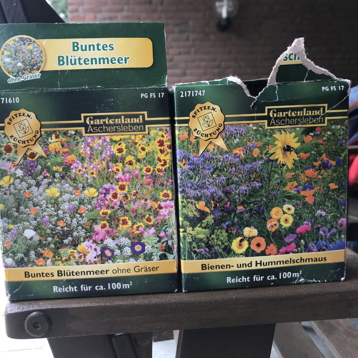 Blühbeet anlegen